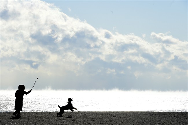 FILE- A woman throws a ball to her dog as steam rises off Lake Ontario in extreme cold weather in Toronto on Wednesday, Jan. 7, 2015. THE CANADIAN PRESS/Frank Gunn.