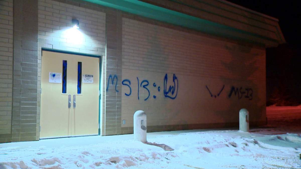 John Costello School in Strathcona Park was targeted by graffiti vandals.