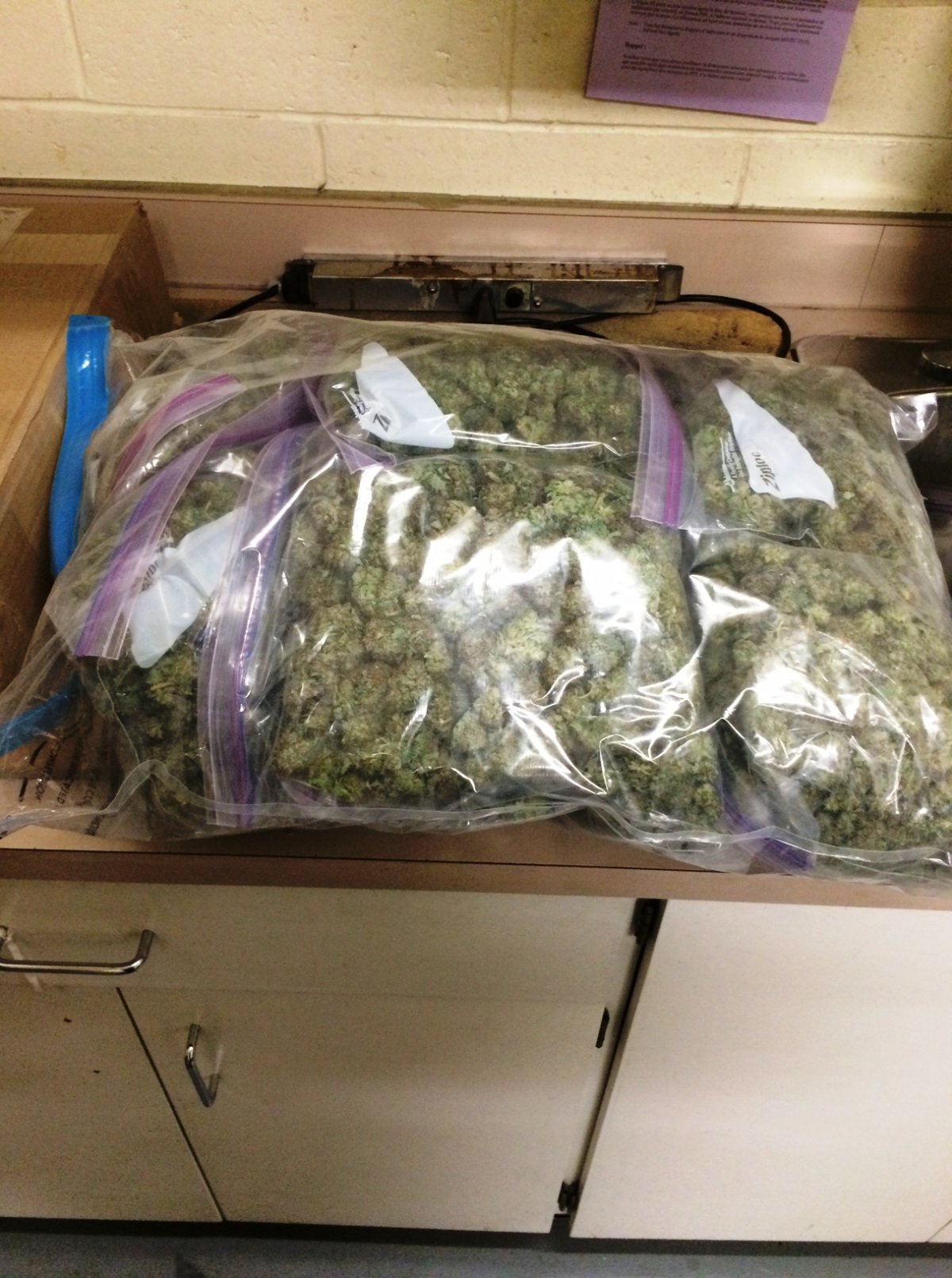 RCMP have charged a 24-year-old Regina man after discovering $23,000 of marijuana in his vehicle.