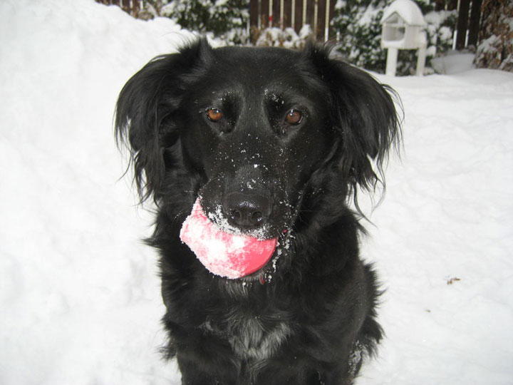 Jan. 24: This Your Saskatchewan photo was taken by Suzanne N. in Saskatoon.