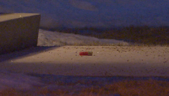 Saskatoon police are investigating a shooting that took place Monday morning in the 1000-block of Patrick Crescent.