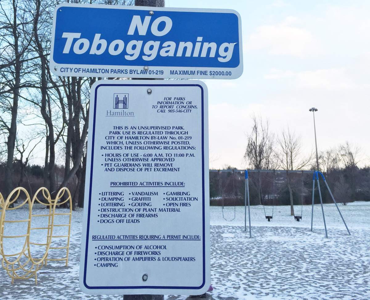 No plans to join tobogganing bans, Edmonton officials say - image