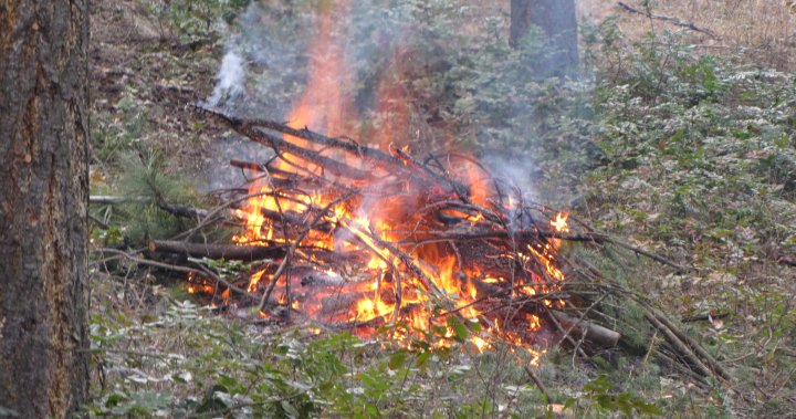 Ban on open burning in Southern Interior to start this week – Okanagan | Globalnews.ca