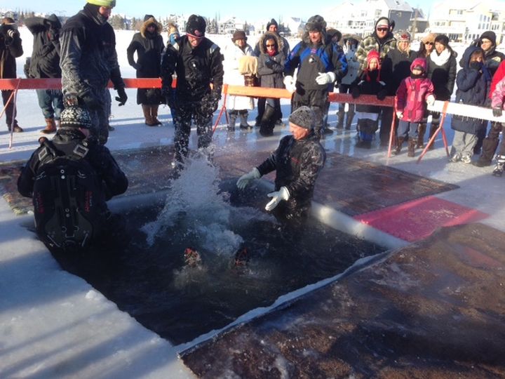polar plunge