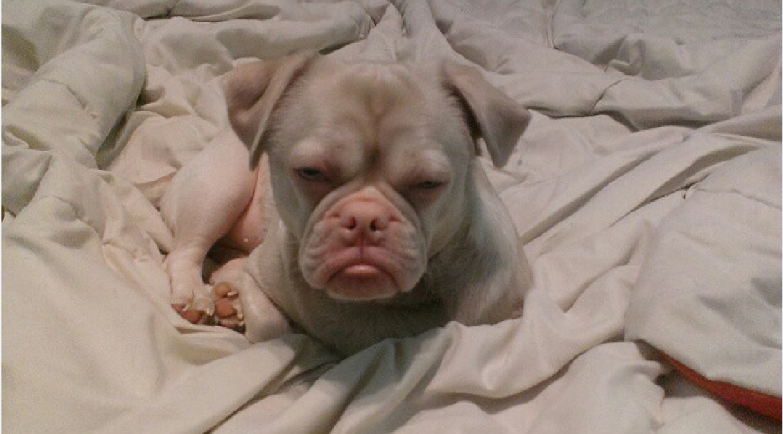 Photo Credit: _mistercornelius (Instagram)