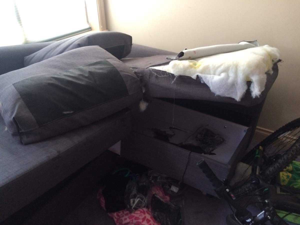 The sofa where the man was hiding.