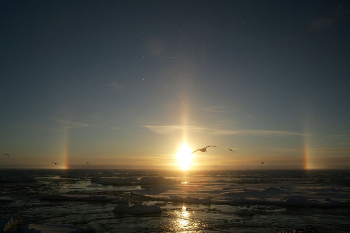 Sun dogs
