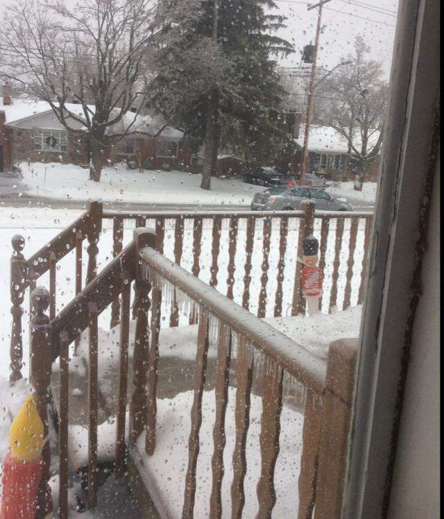 It pretty but hard to scrape off the car!!