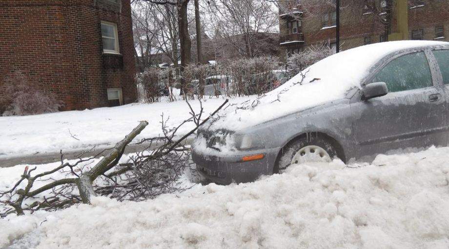 Branches down in #NDG #storm