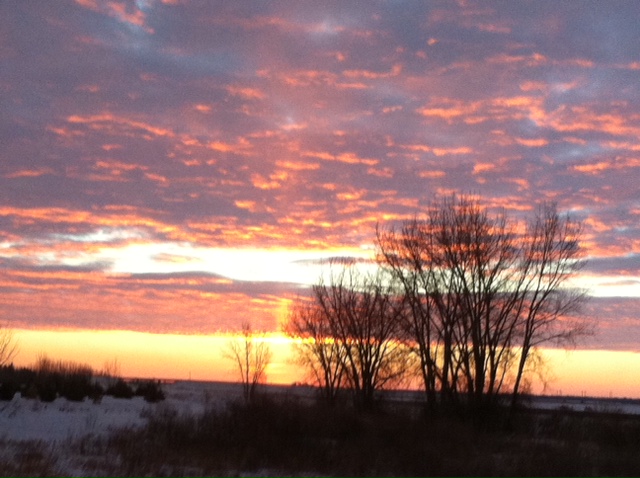 Your Manitoba
