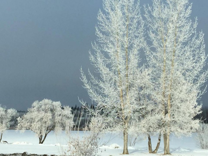 Feb. 1: Gessika Laliberte snapped this Your Saskatchewan photo in Prince Albert.