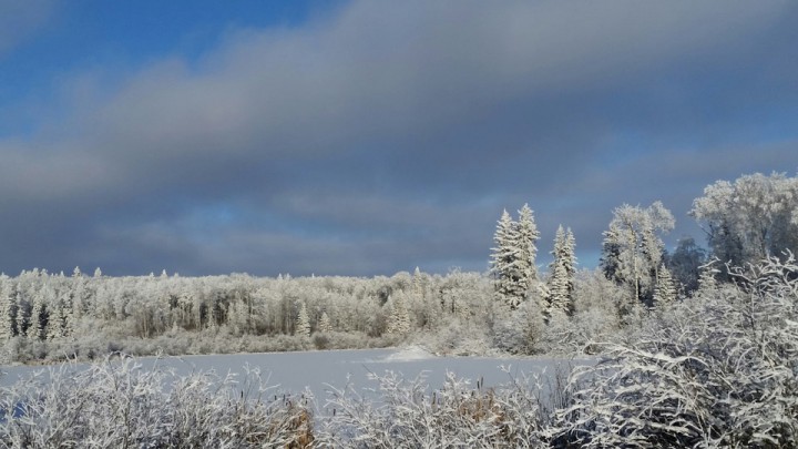 Feb. 4: This Your Saskatchewan photo was taken by Linda Scobie at Batka Lake in Duck Mountain Provincial Park.