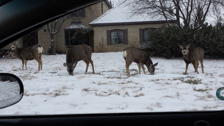 Feb. 12: Candie Winsley took this Your Saskatchewan photo in Swift Current.