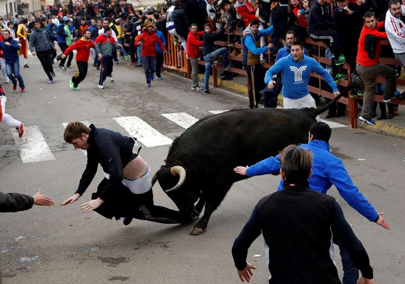 Benjamin Miller, 20, from Georgia, in the US, is gored by a bull during the "Carnaval del Toro" in Ciudad Rodrigo, Spain. 
