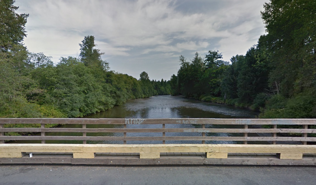 It was near the Condensory Bridge in Courtenay where a mother and her baby were pulled from the Puntledge River on January 30, 2015. The mother has died, while the child is in critical condition.