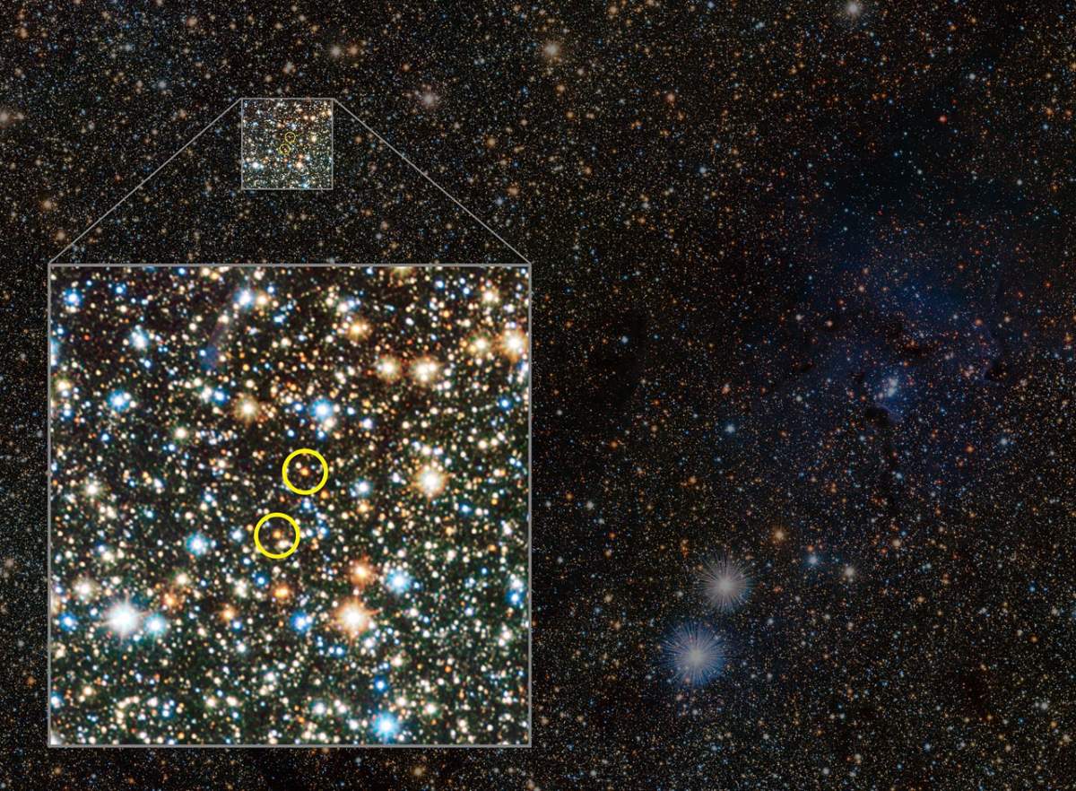 The two Cepheids, circled in yellow, discovered by astronomer Daniel Majaess.