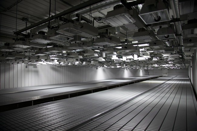 An interior view of the Aurora Cannabis Inc. is shown in an undated, handout photo.