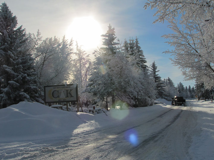 Feb. 28: This Your Saskatchewan photo was taken by Lorie Gibson in Cut Knife.