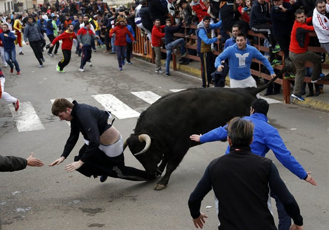 Benjamin Miller, 20, from Georgia, is gored by a bull during the "Carnaval del Toro" in Ciudad Rodrigo, Spain, on Sunday, Feb. 15, 2015.
