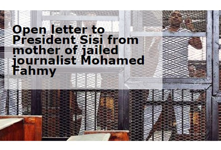 A website has posted an open letter from Mohamed Fahmy's mother to the president of Egypt, appealing for her son's release from prison.