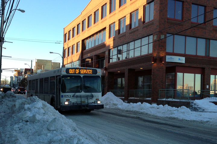 A Halifax Transit bus travels down Gottingen Street in Halifax.