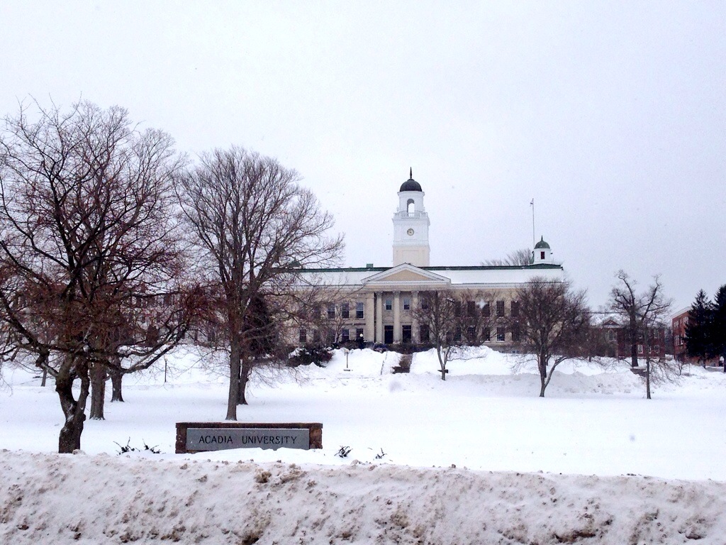 Public health officials say 84 per cent of the 3,500 students living on campus at Acadia University have received the first dose of a vaccination against the B strain of meningococcal meningitis.
