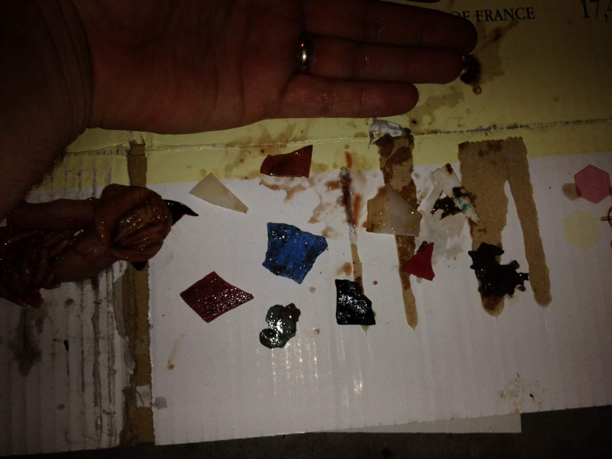 The pieces of plastic Butt found inside the fish that he caught on the Vedder River on February 13, 2015.