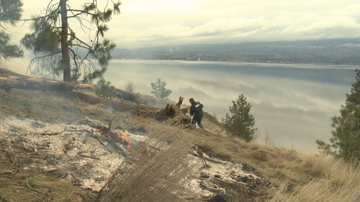 Okanagan communities to benefit from funding to prevent wildfires - image