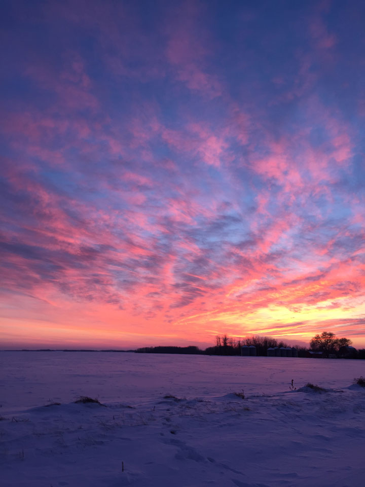 Feb. 7: This Your Saskatchewan photo was taken by Melissa Brassard at Meadow Lake.