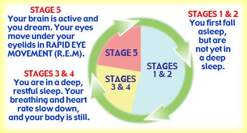 Tips for parents: making sure your children get enough sleep - image