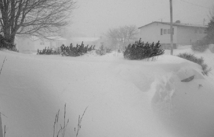 Newfoundland is bracing for another winter storm - the second blast in as many days.