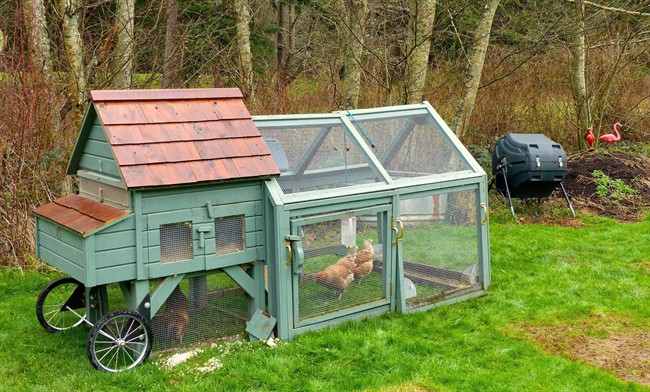 Understanding how to manage animal manure