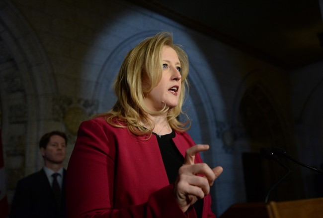 MP Lisa Raitt has joined the race to be the Conservative party's next leader.