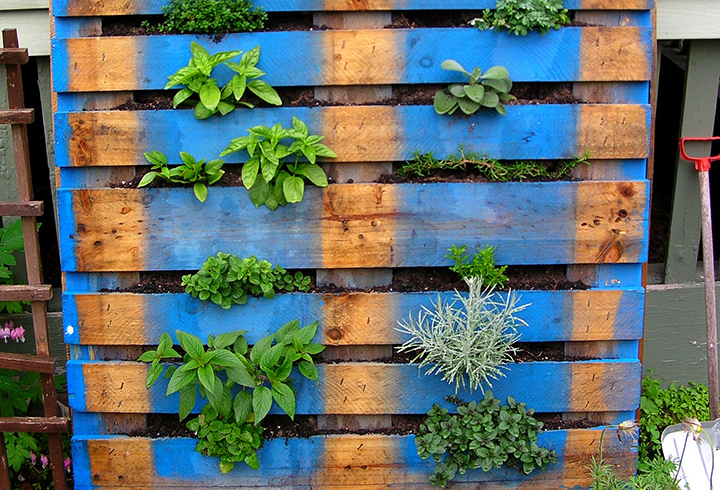 Reusing items, such as wooden pallets, and growing your own produce are two easy ways to save money at home.