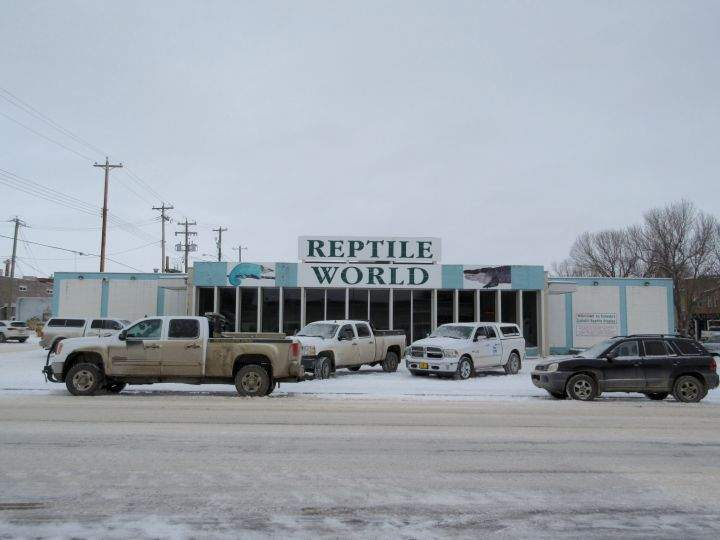 Reptile World