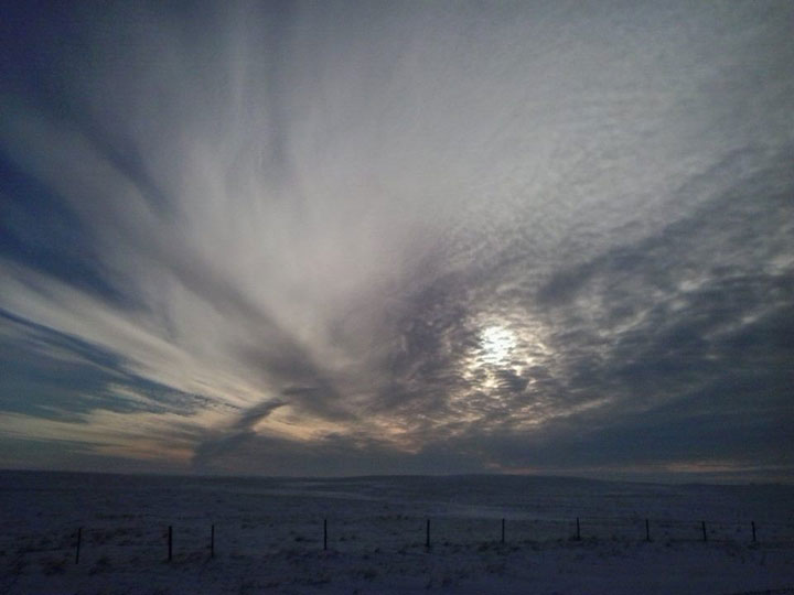 Feb. 8: This Your Saskatchewan photo was taken by Darlene Jorgenson north of Leader.