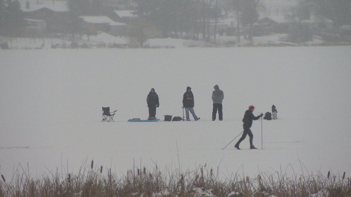 Three people fall through thin ice on Swan Lake - image