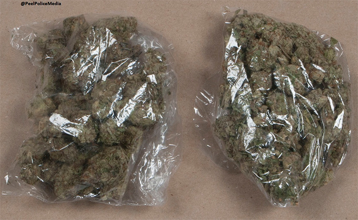 An Ontario mother claims she found a vacuum-sealed bag containing what appeared to be marijuana in a box carrying an Angry Birds game she bought at a Target store.