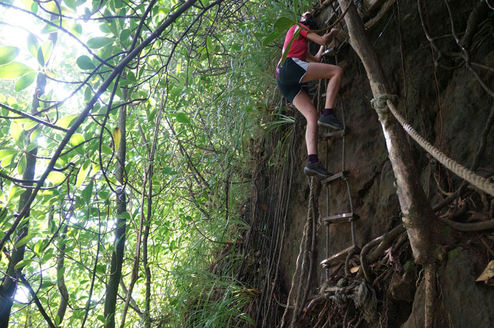 This January 2015 photo shows a hiker on the Wavine Cyrique cliff trail on the Caribbean island of Dominica. The vertical trail of tangled mangrove roots and improvised rope ladders takes hikers down the face of the cliff to a black-sand beach.