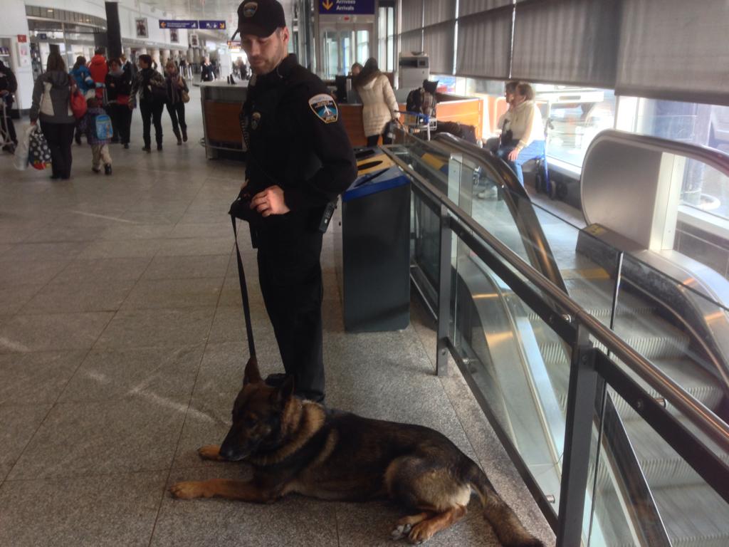 Pierre Elliott Trudeau International Airport on Friday, February 6, 2015.