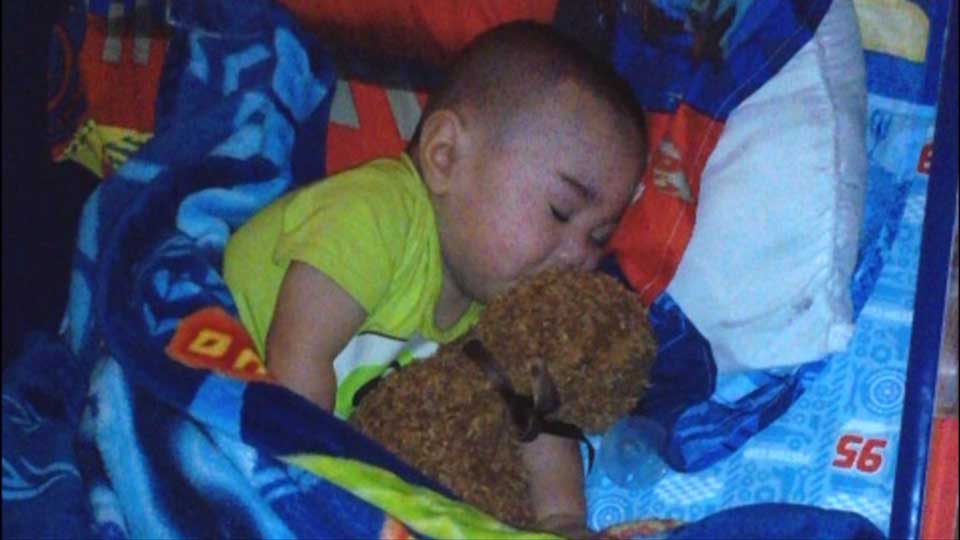 Mother searching for lost teddy bear containing daughter's ashes
