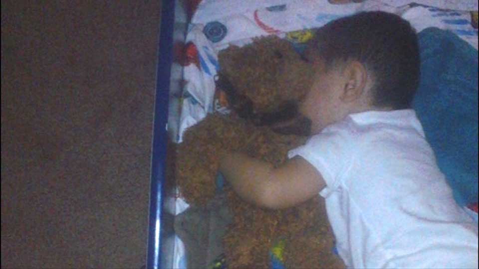 Mother searching for lost teddy bear containing daughter's ashes