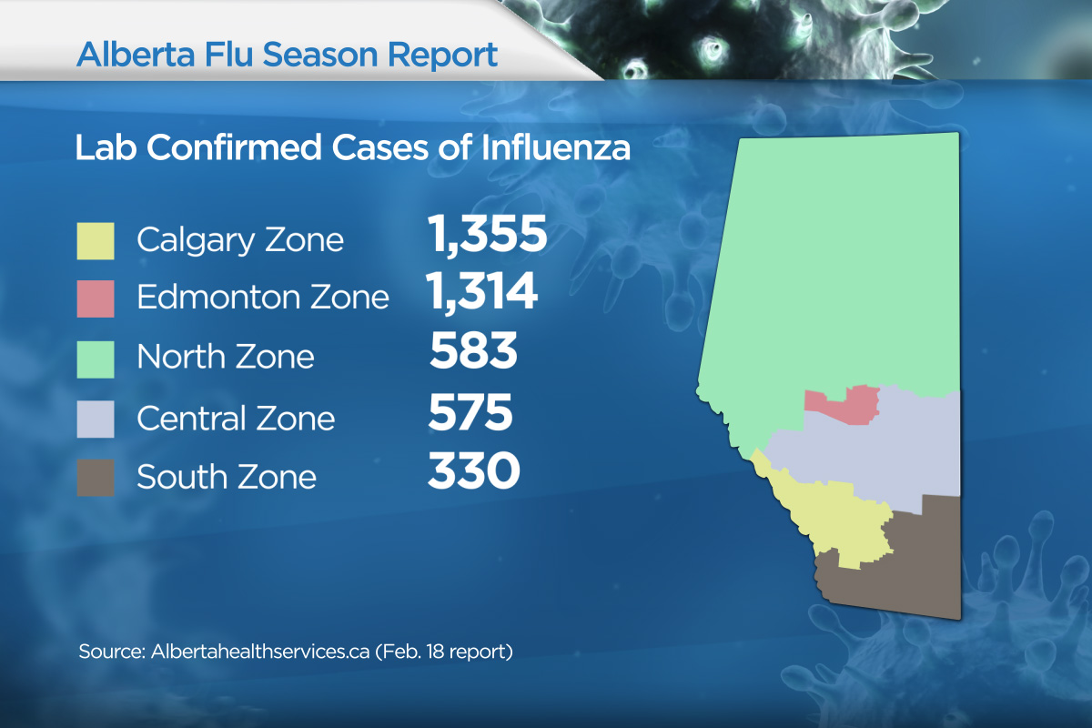 78 Flu Deaths In Alberta More Than Last Two Years Combined Globalnews Ca   We Web Flu Update Owt 1 