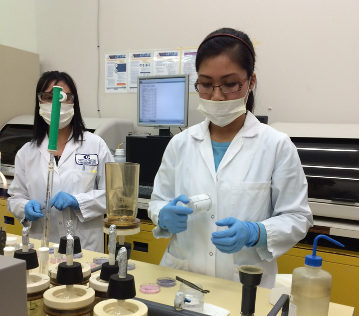 Има голям скок в броя на случаите на E coli