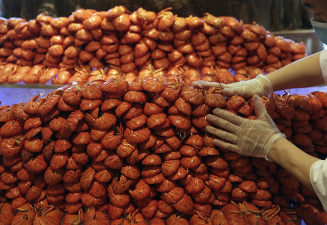 American lobster: The new Chinese New Year delicacy