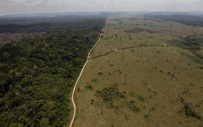 Brazil detained a land-grabber in Para state thought to be the Amazon's single biggest deforester, according to the country's environmental protection agency. The Brazilian Institute of Environment and Renewable Natural Resources said Ezequiel Antonio Castanha, detained Saturday, Feb. 21, 2015, operated a network that illegally seized federal lands, clear-cut them and sold them to cattle grazers.