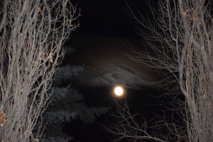 March 11: This Your Saskatchewan photo was taken by Susan Mullen in Saskatoon.