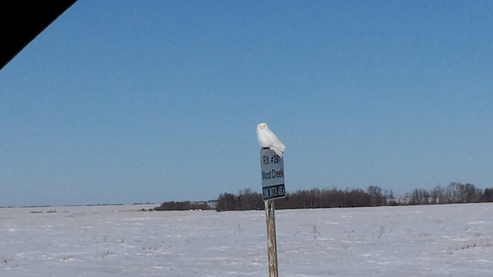 March 27: This Your Saskatchewan photo was taken by Guy Jacques on Highway 15 near Simpson.