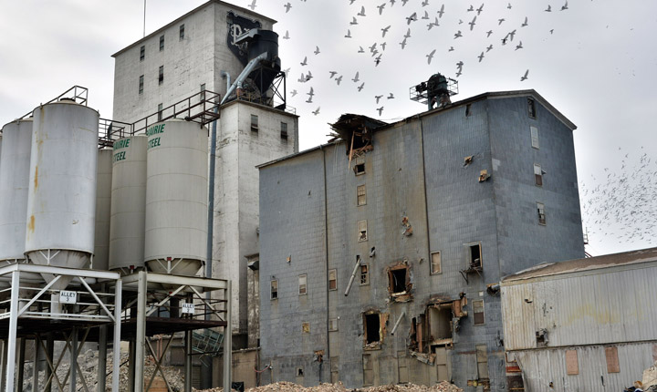 March 31: Ian Robertson took this Your Saskatchewan photo in Saskatoon.