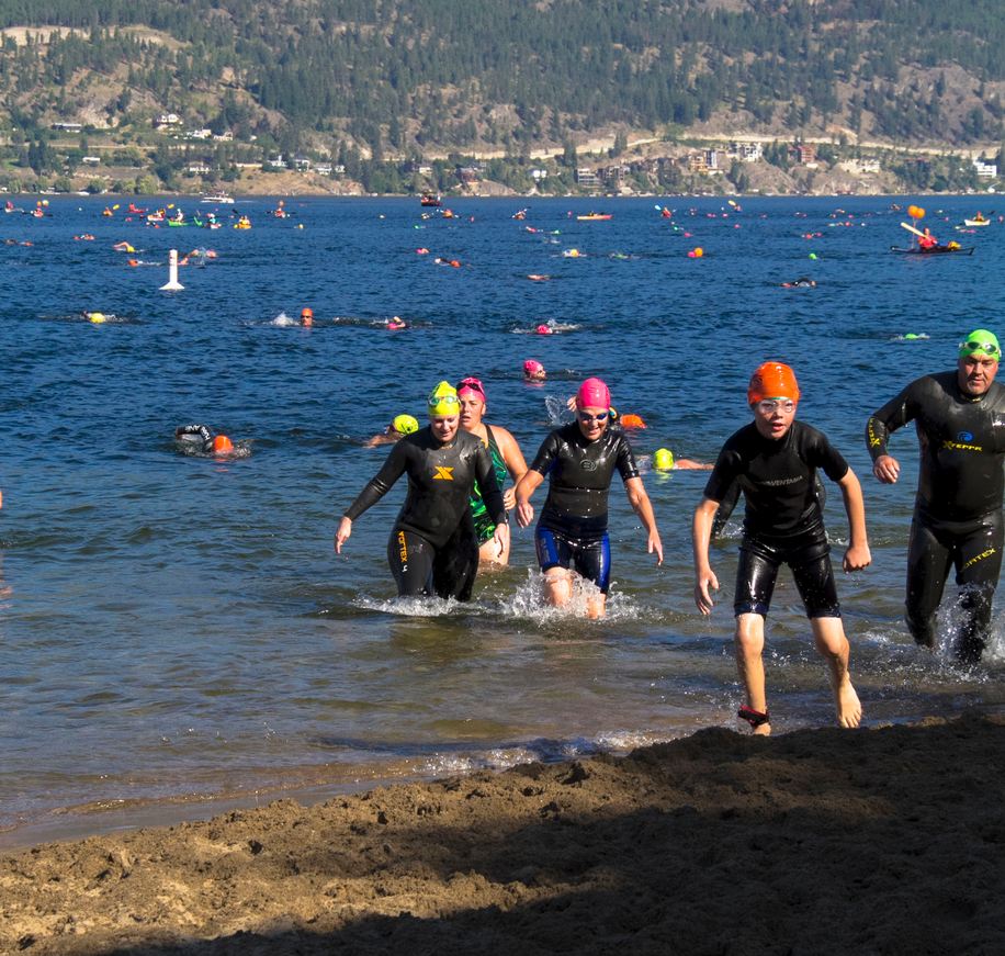 Swimmers approach the finish line at the 2019 Across the Lake Swim. 